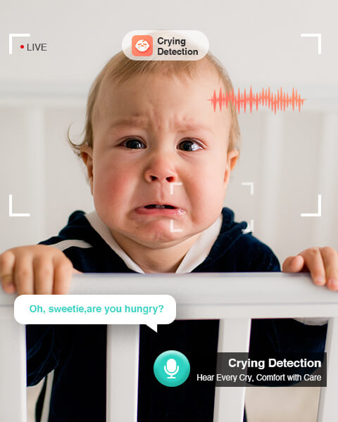 Botslab AI 3K Smart Tracking Indoor Security Camera C221