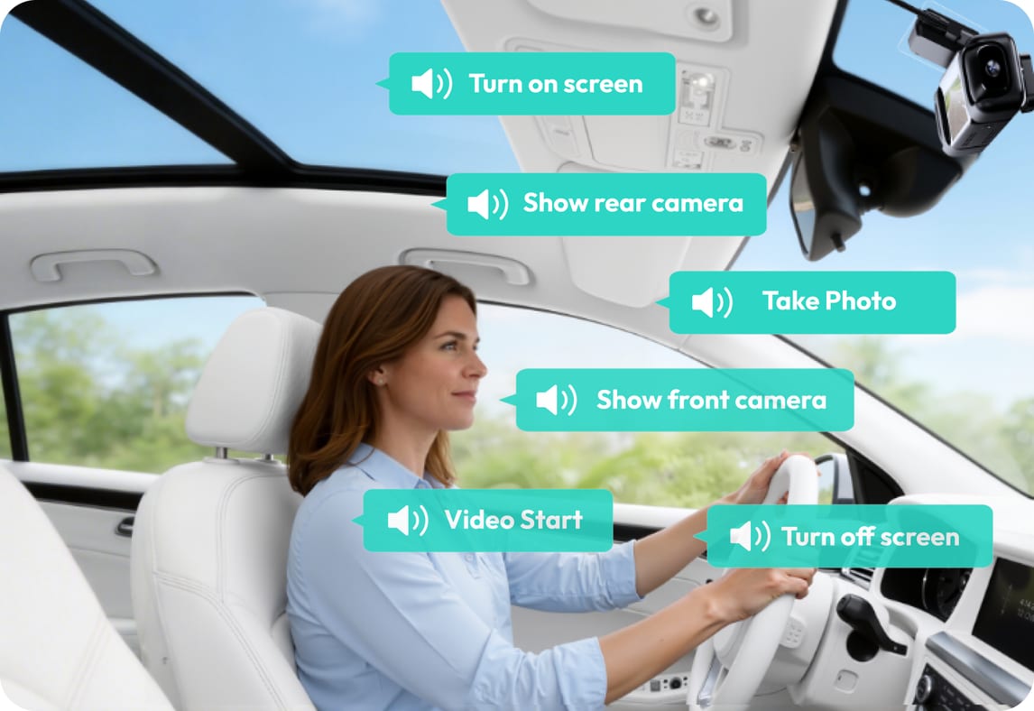Voice Control