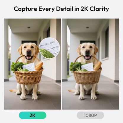 R810 SE Video Doorbell EU